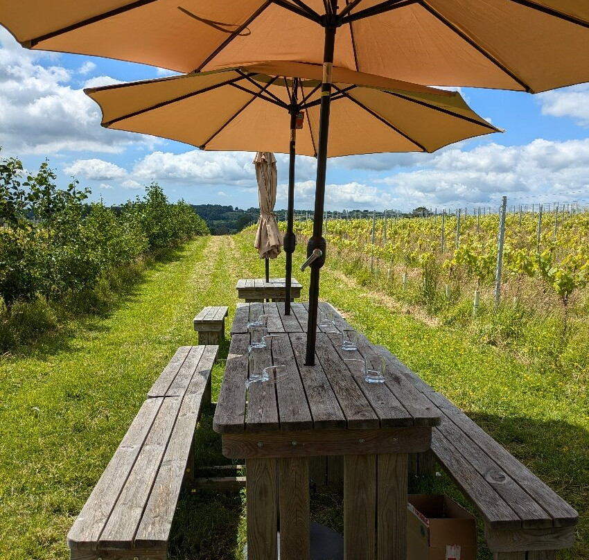Wayfarer Wines景点图片