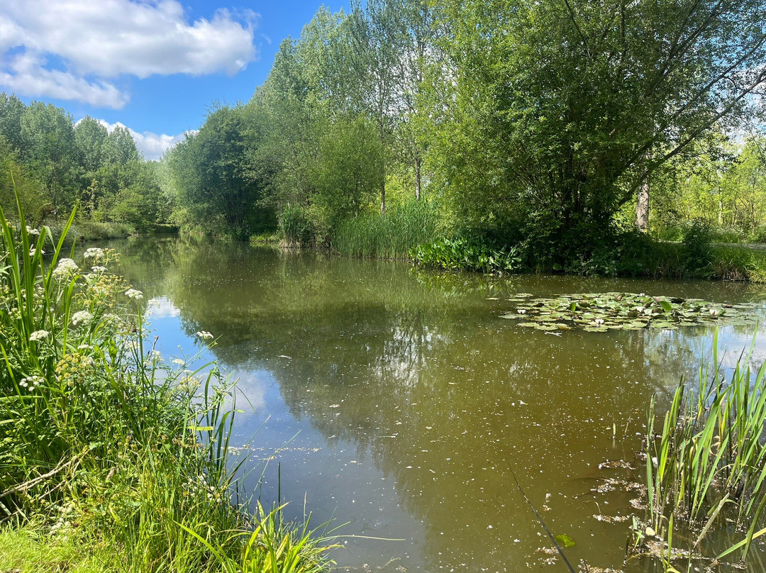 Gabriels Fishery-Edenbridge必去景点