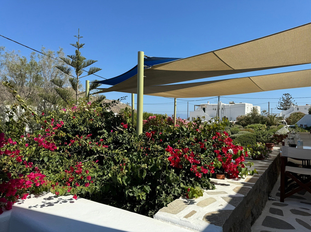 Erato Hotel Mykonos主图
