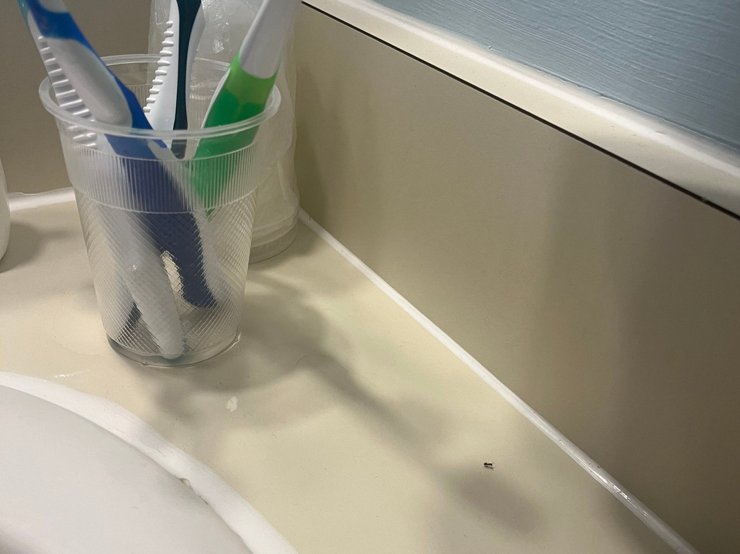 M-22 Inn Glen Arbor主图