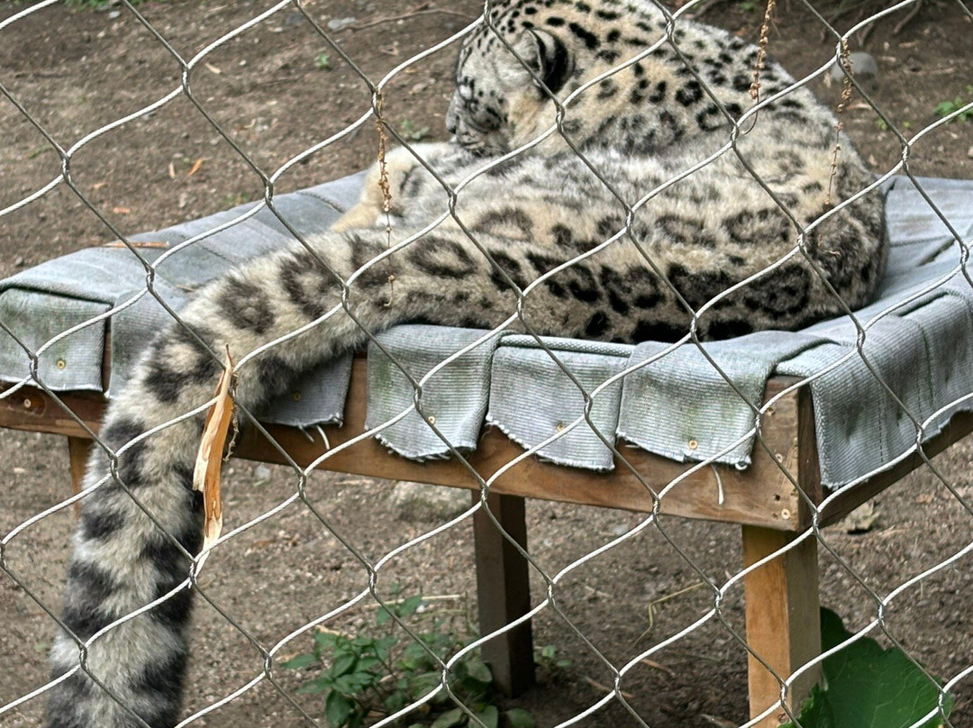 罗杰威廉斯公园动物园-普罗维登斯必去景点