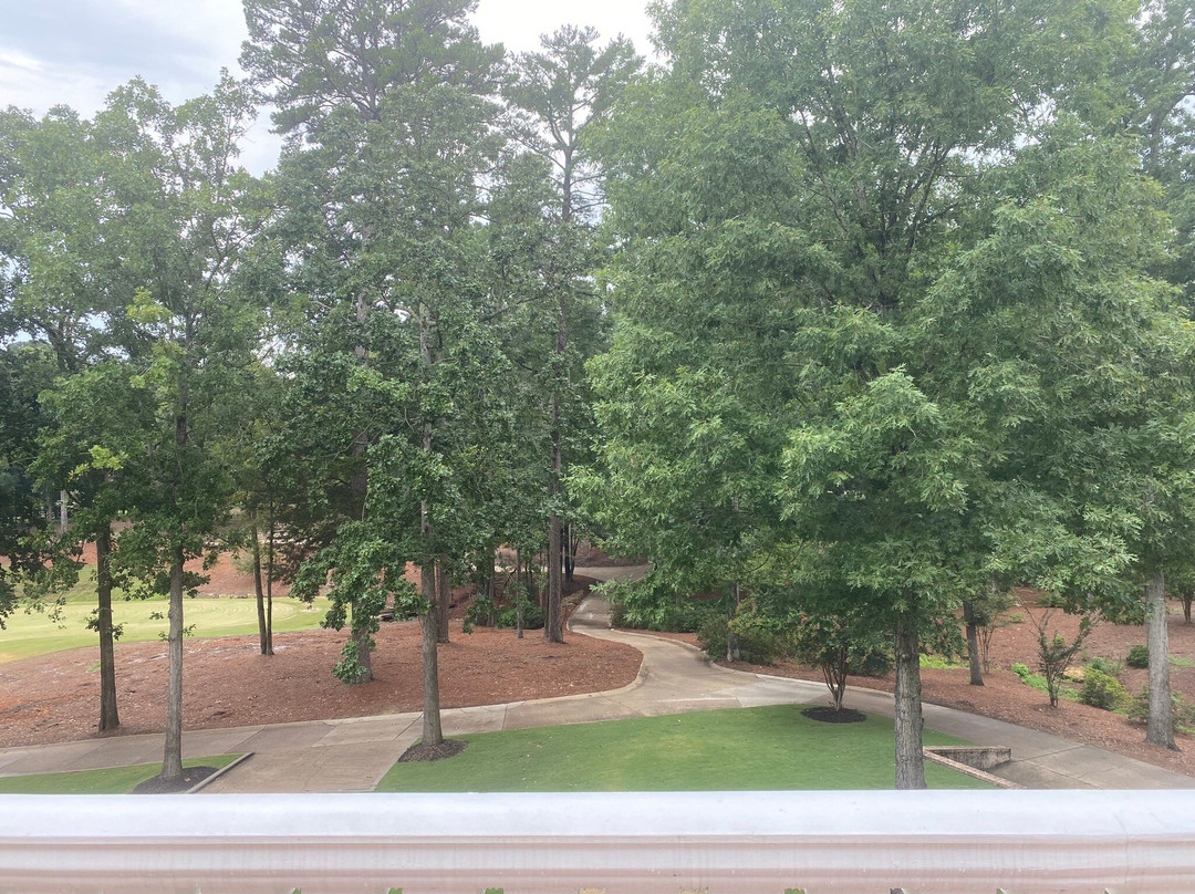 Dancing Rabbit Clubhouse主图