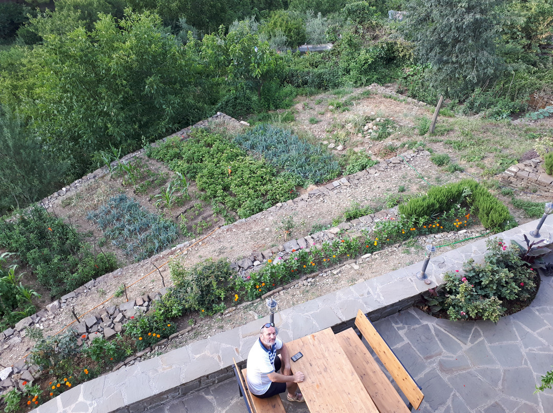 Chri Chri Guesthouse主图