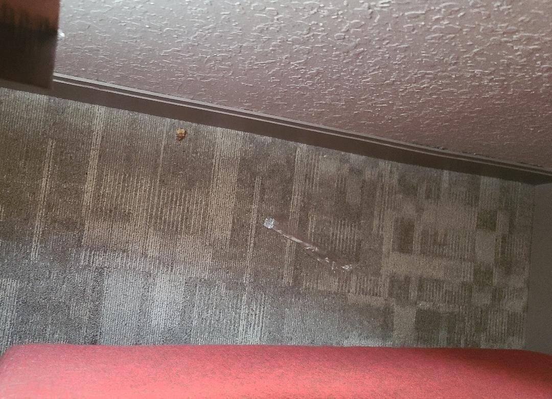 花园城希尔顿恒庭酒店主图