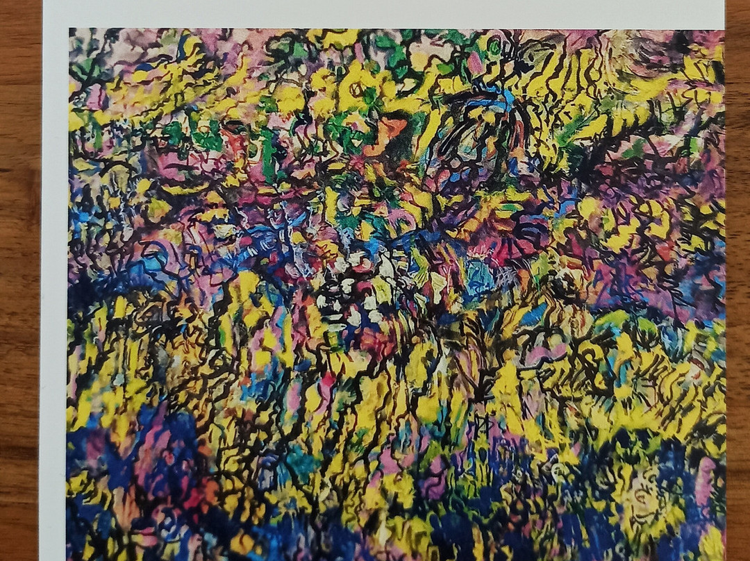 Galerie Tripp景点图片