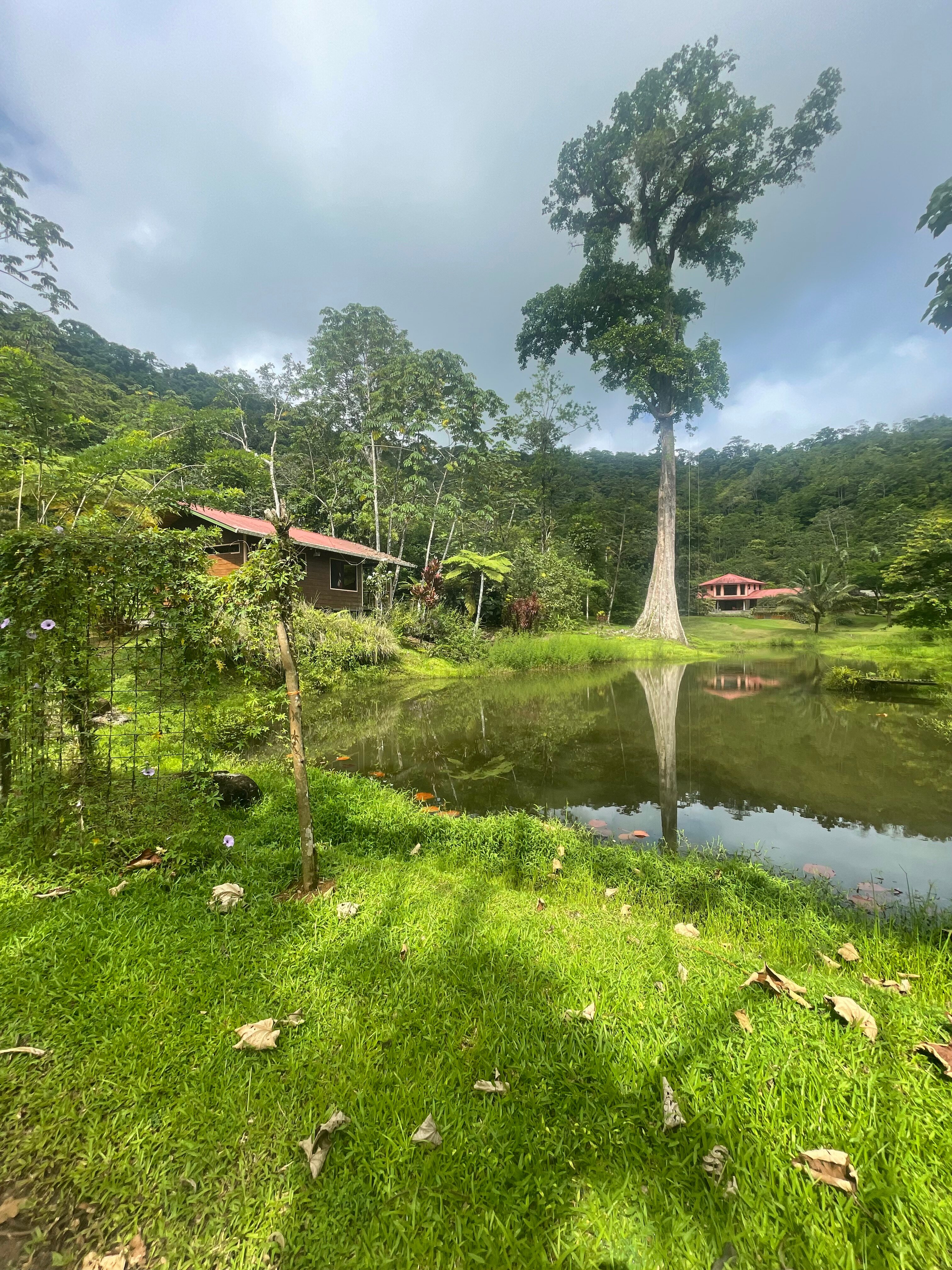 Mei Tai Cacao Lodge-官方