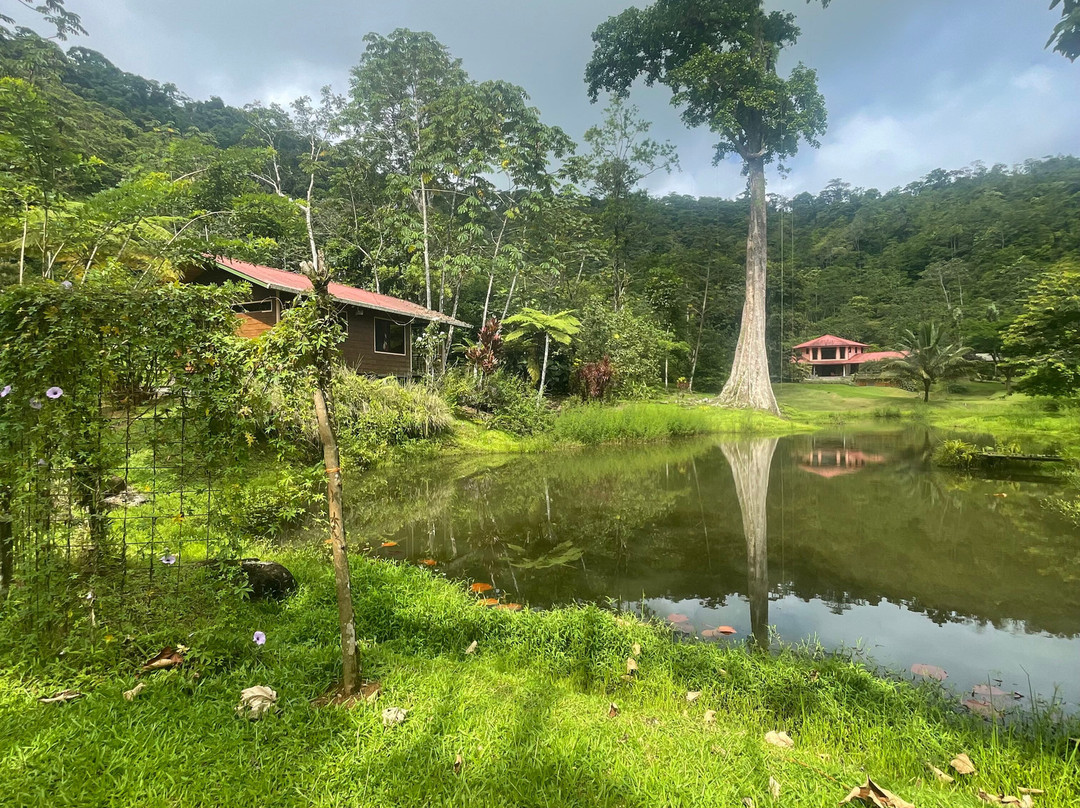 Mei Tai Cacao Lodge主图