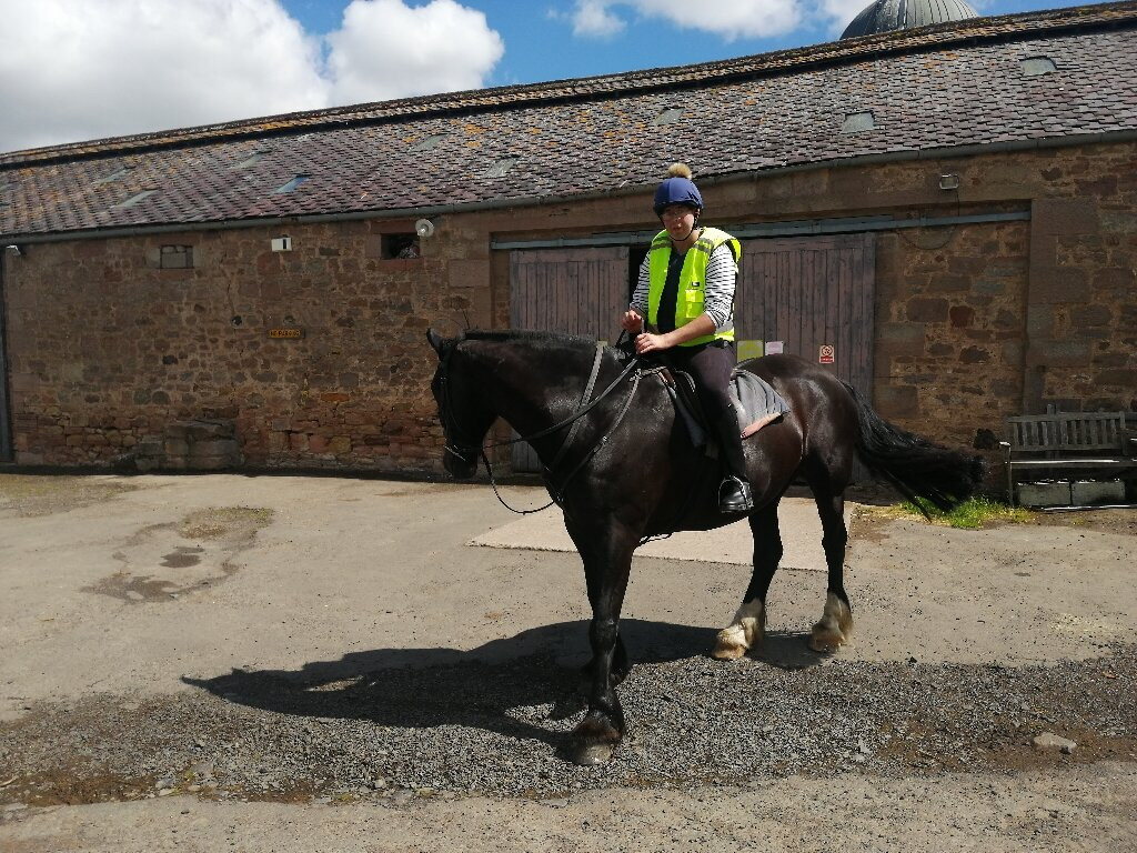 Kimmerston Riding Centre景点图片