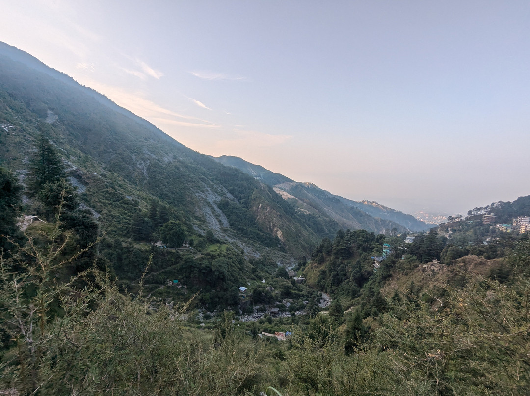 Sarvaguna Yoga Dharamsala景点图片