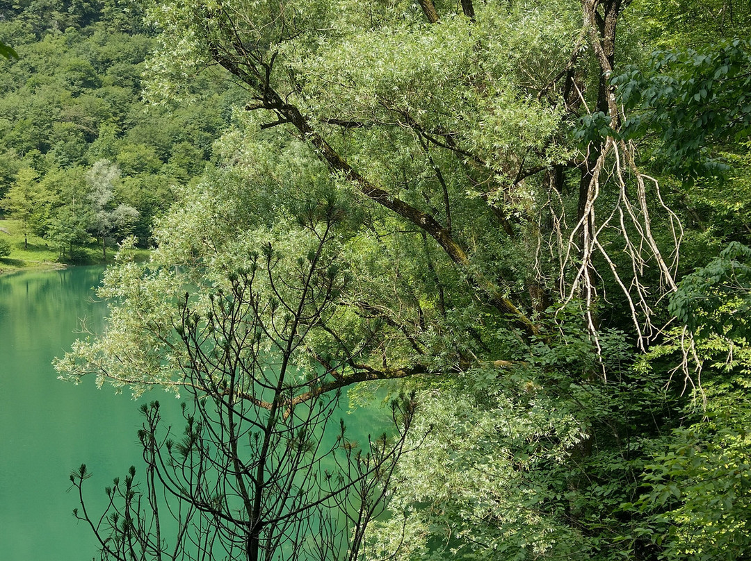 Lago Del Mis景点图片