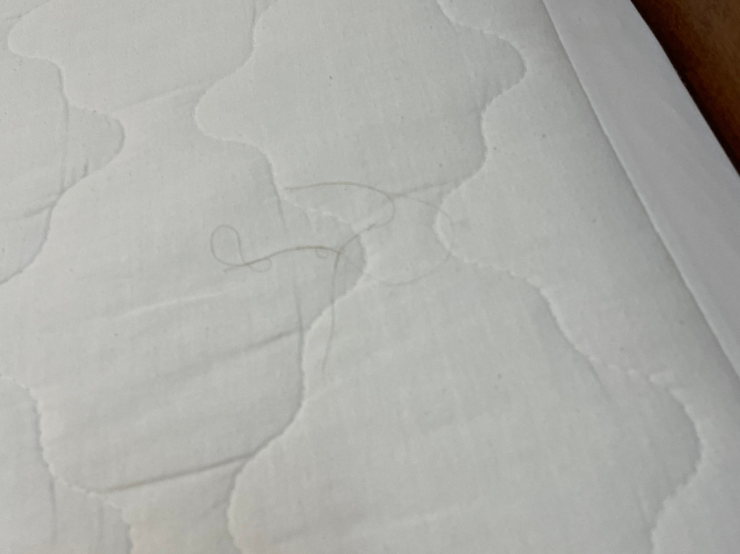 卡拉巴萨斯美好夜间旅馆主图