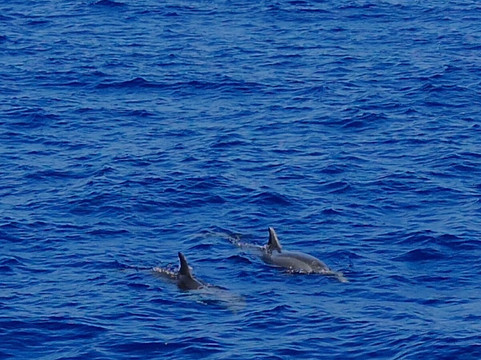 Cruceros Cormoran-帕格拉必去景点