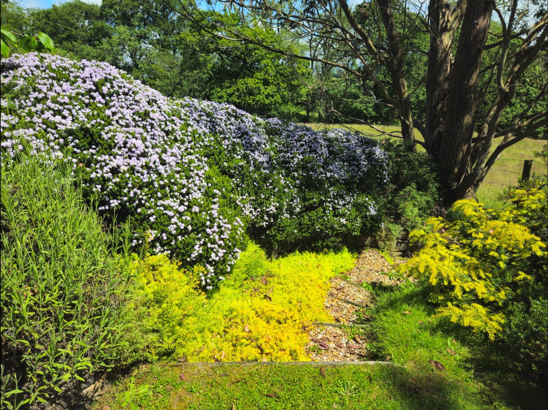 Ysgoldy'r Cwrt Garden景点图片