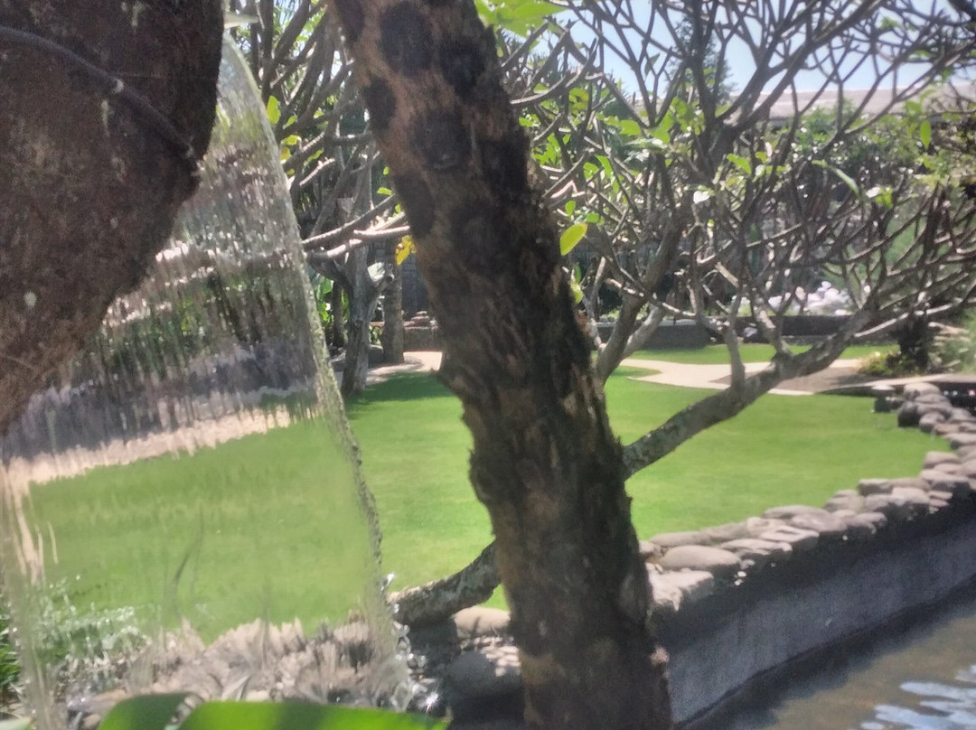 Peta Park-万隆必去景点