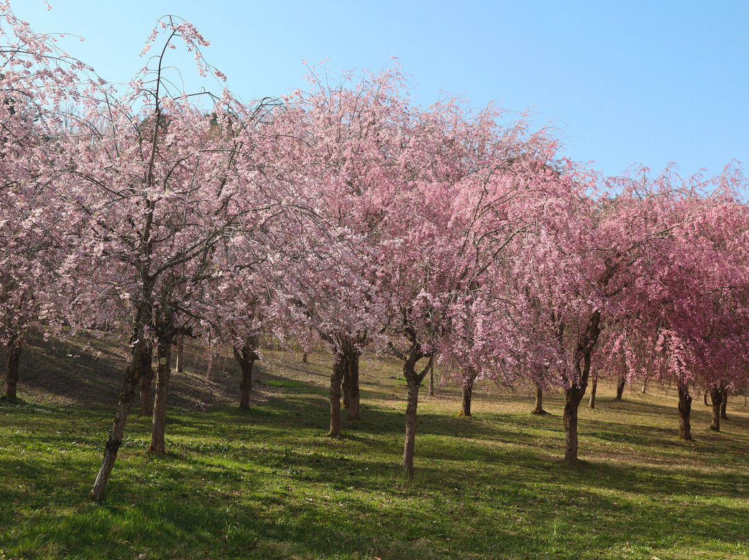 Yukyuzan Park-长冈市必去景点