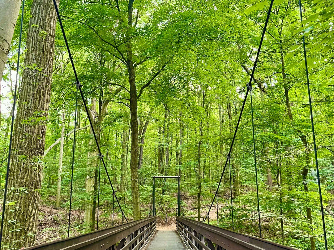 F.A. Seiberling Nature Realm-阿克伦必去景点