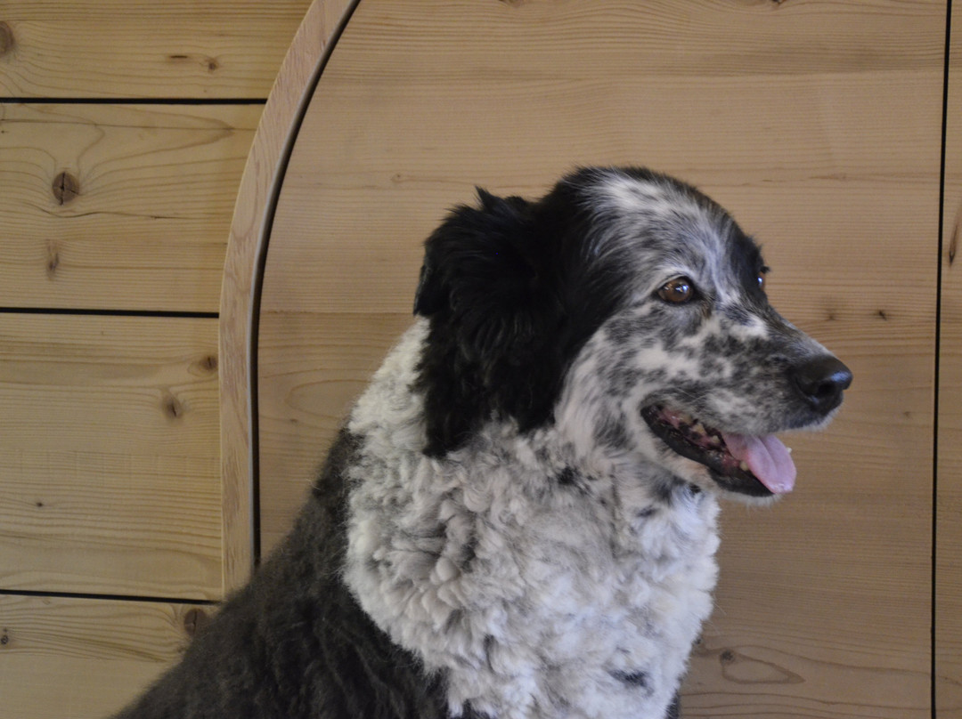 Berghotel Zorzi主图