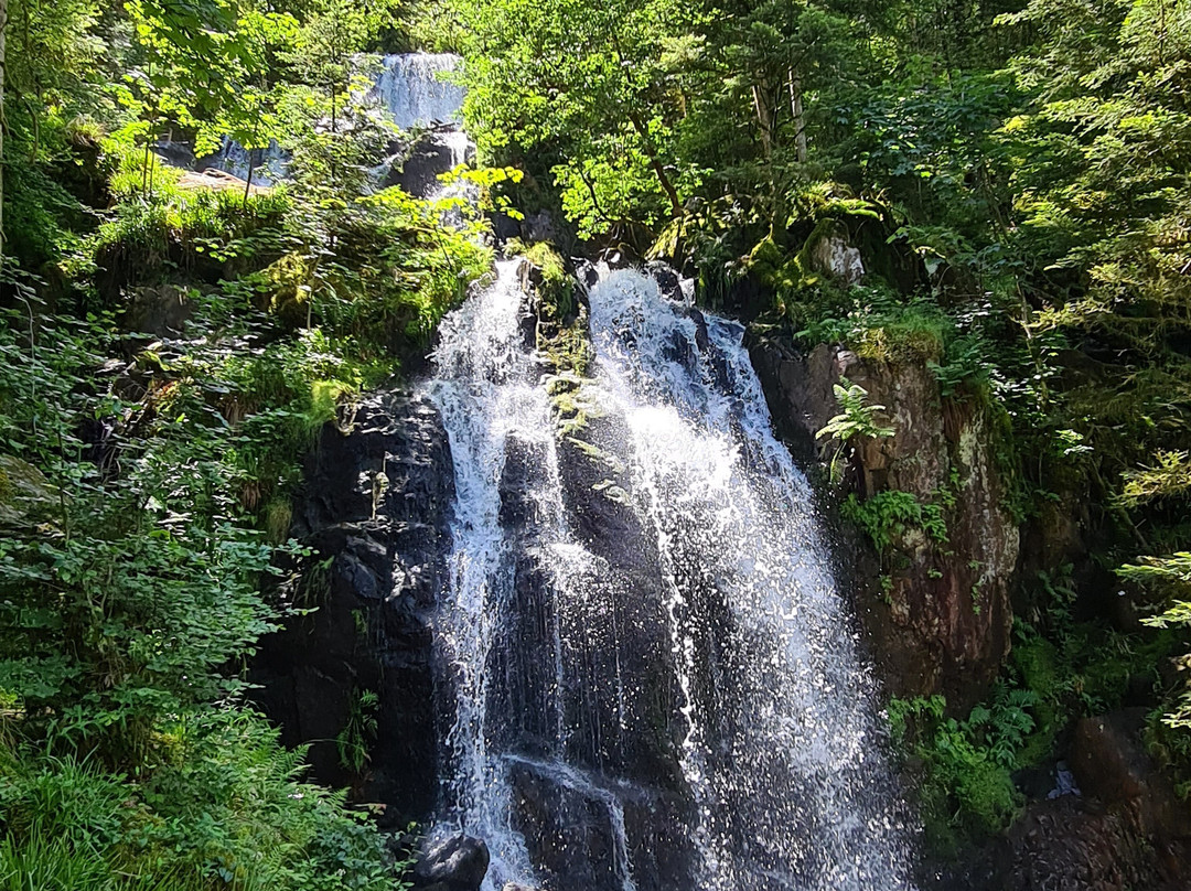 Grande Cascade de Tendon景点图片