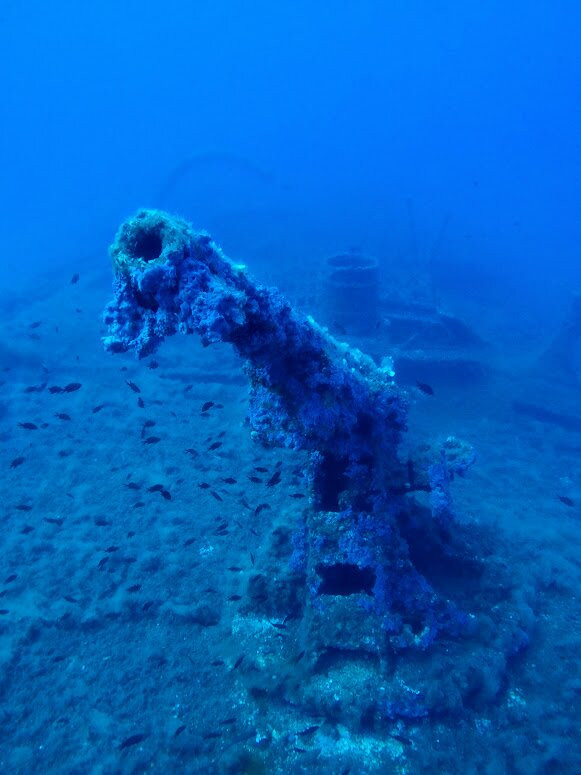 Bluforia Diving Center-Cala Gonone必去景点