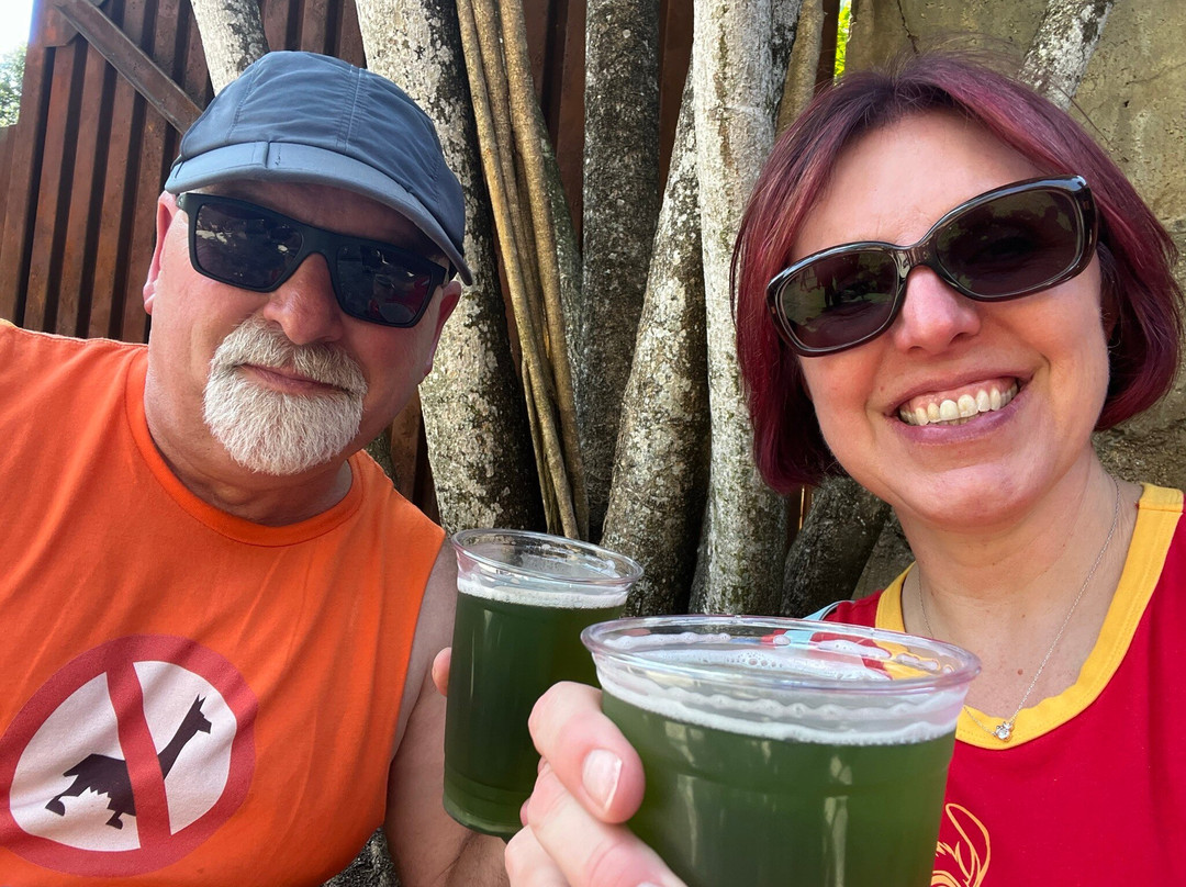 Pandora – The World of Avatar-奥兰多必去景点