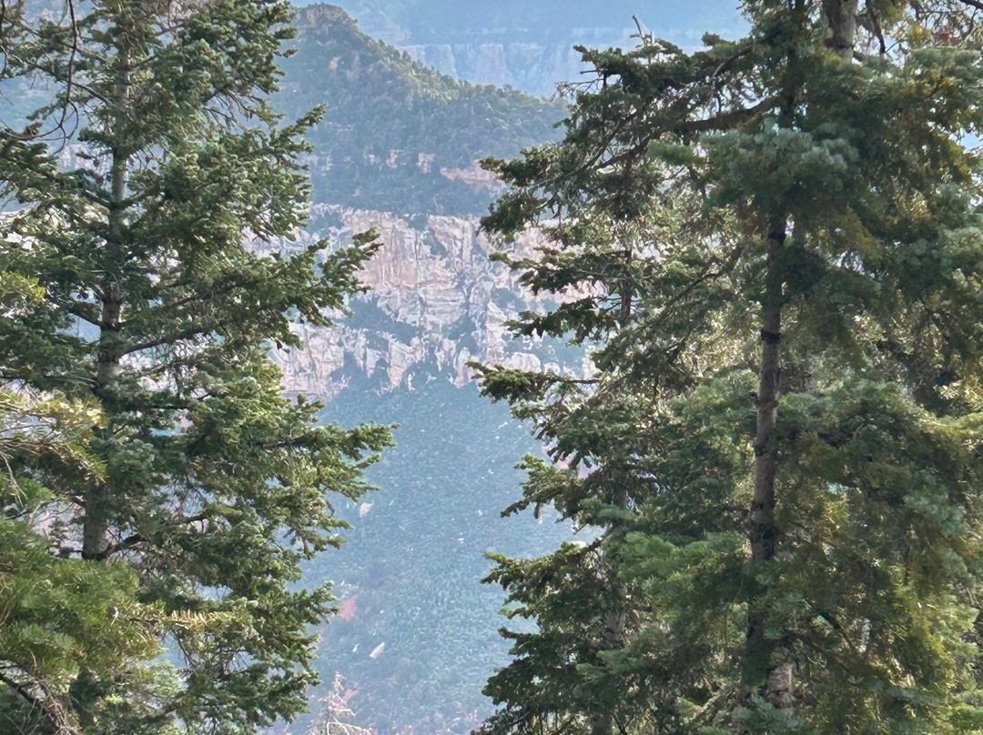 Grand Canyon Guru景点图片