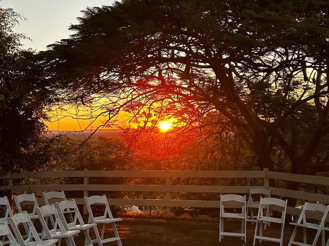 布兰奈尔家园床和早餐酒店主图