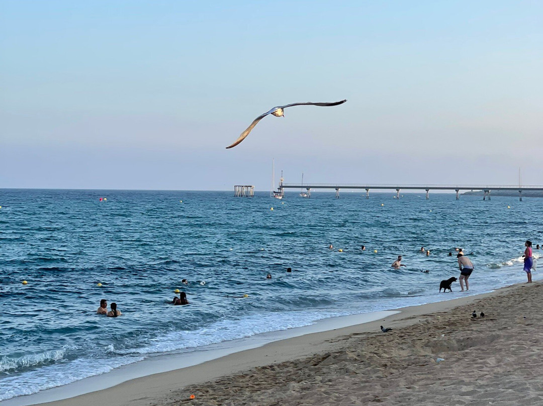 Badalona Beach景点图片