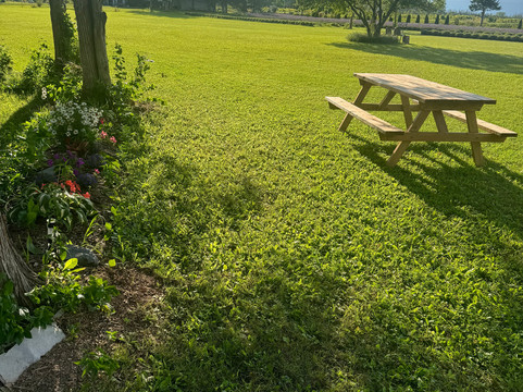 Violet Hill Lavender Farm-皮克顿必去景点