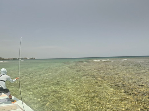 Tobago Flats Stalker Fishing Charters-多巴哥必去景点