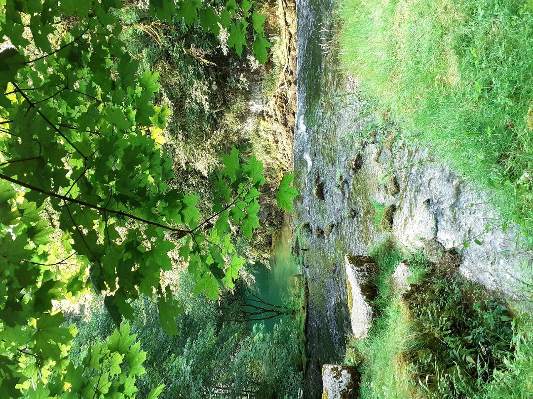 Source de la Loue-Ouhans必去景点