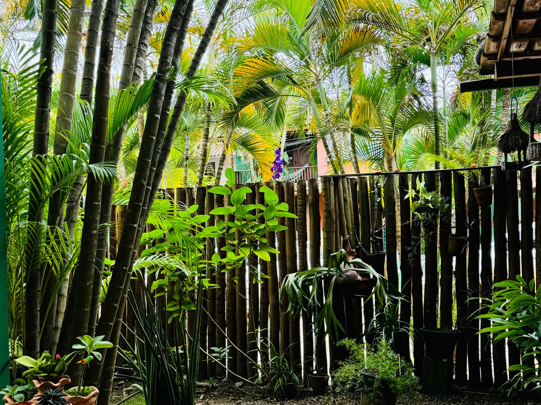 Pousada Vila dos Passaros主图