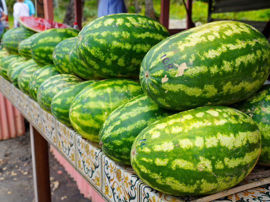 Jesse James 'Members Only' Maxi Taxi Service-特立尼达必去景点