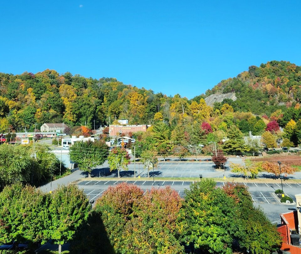 Holiday Inn Express & Suites Asheville Downtown By IHG主图