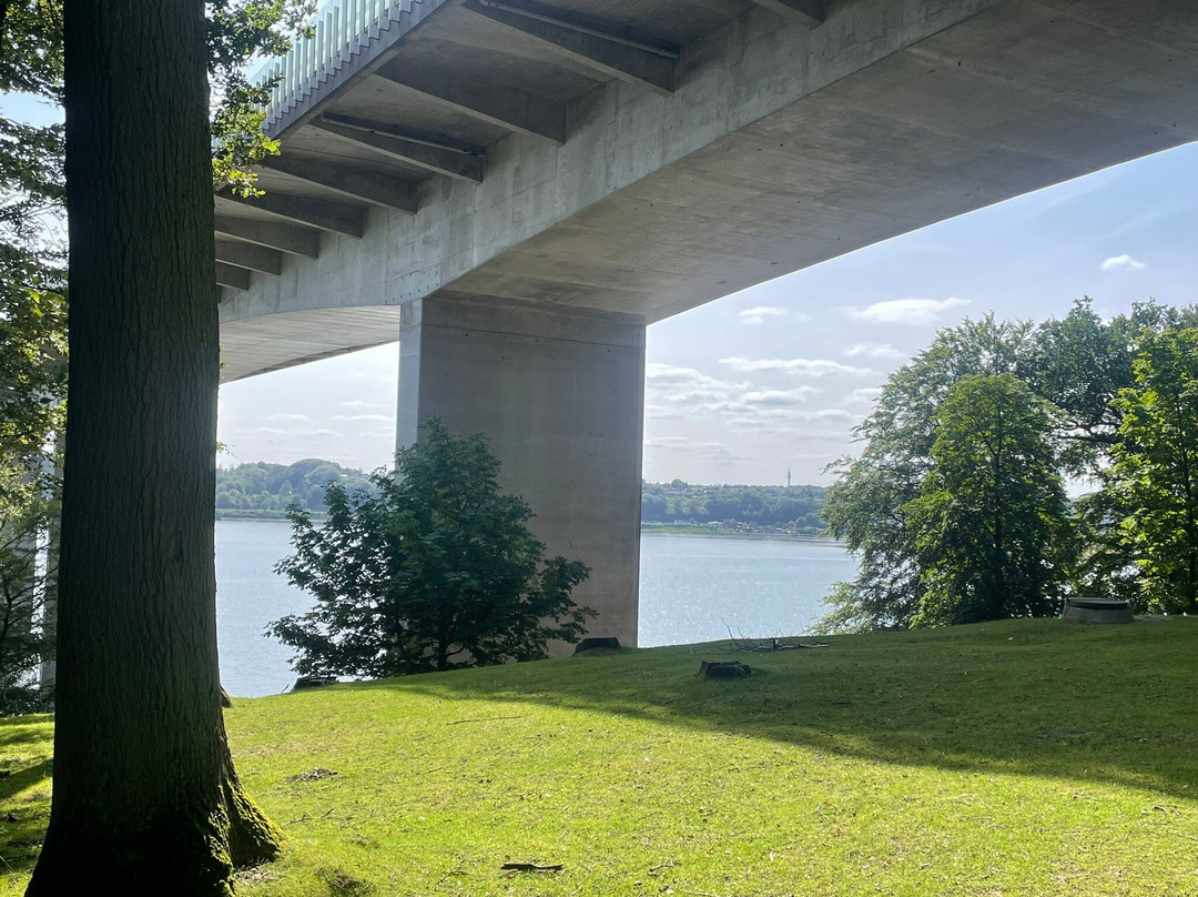 Dyrehaven Vejle-瓦埃勒必去景点