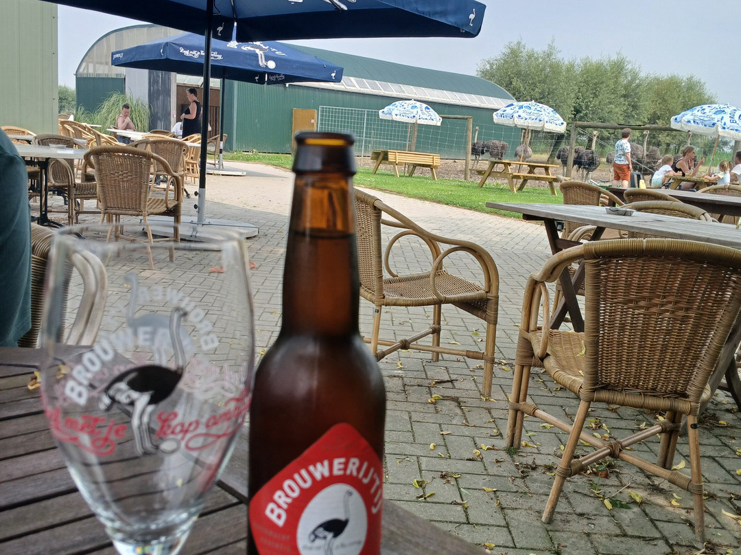 Struisvogelboerderij Monnikenwerve景点图片