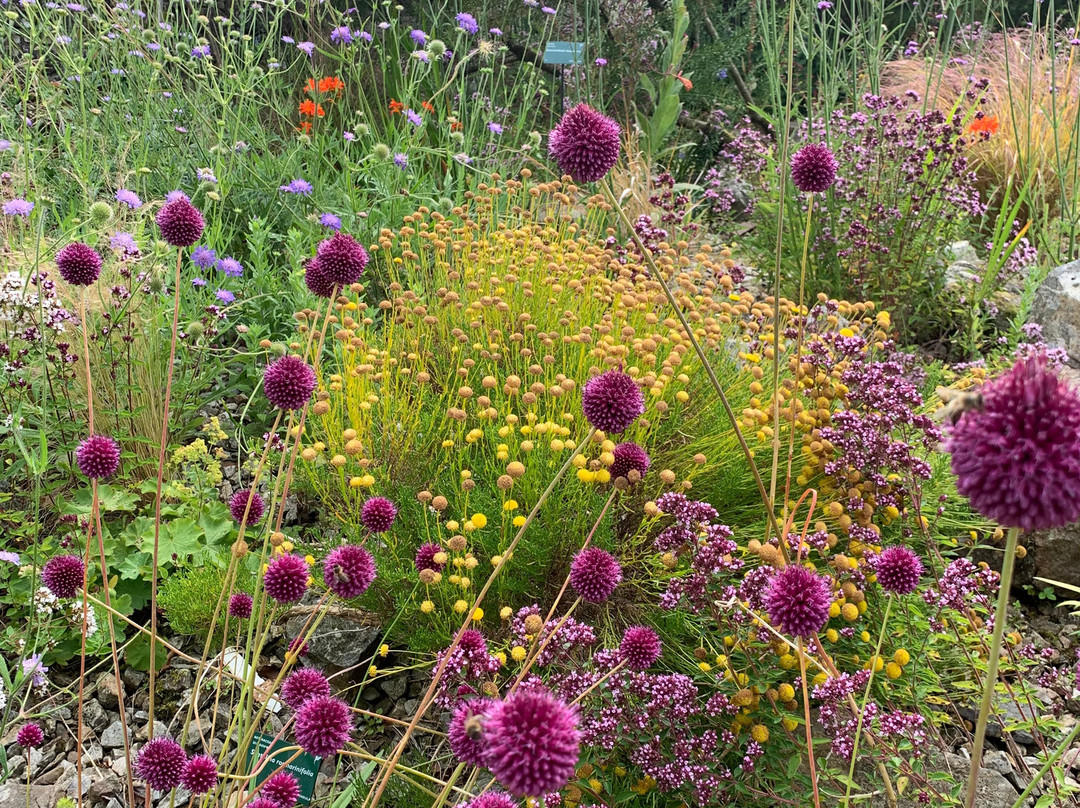 Botanical Gardens景点图片