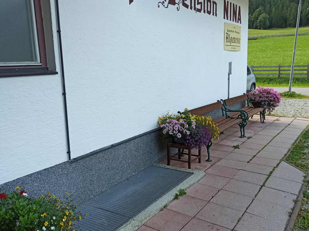 Pension Nina & Gasthof Alpenrose主图