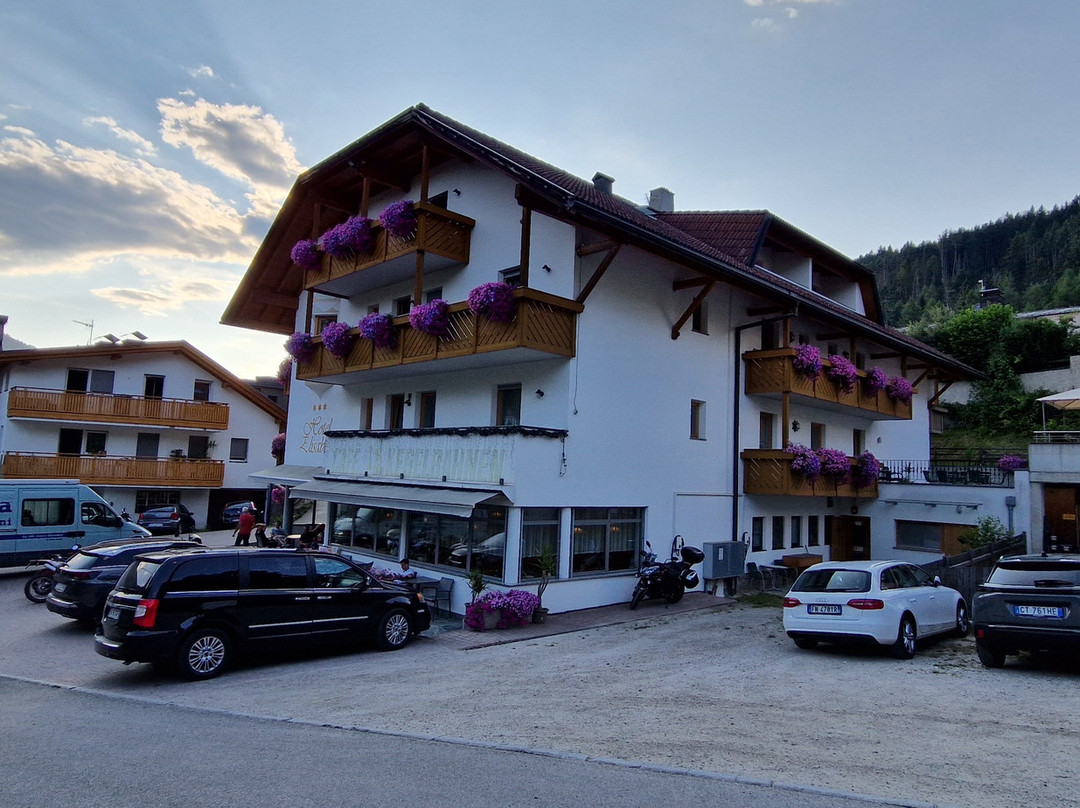 Hotel Elisabeth主图