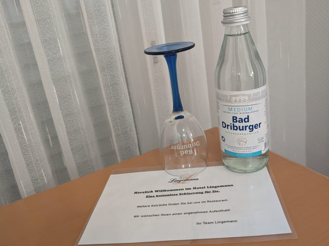 Hotel Lingemann主图