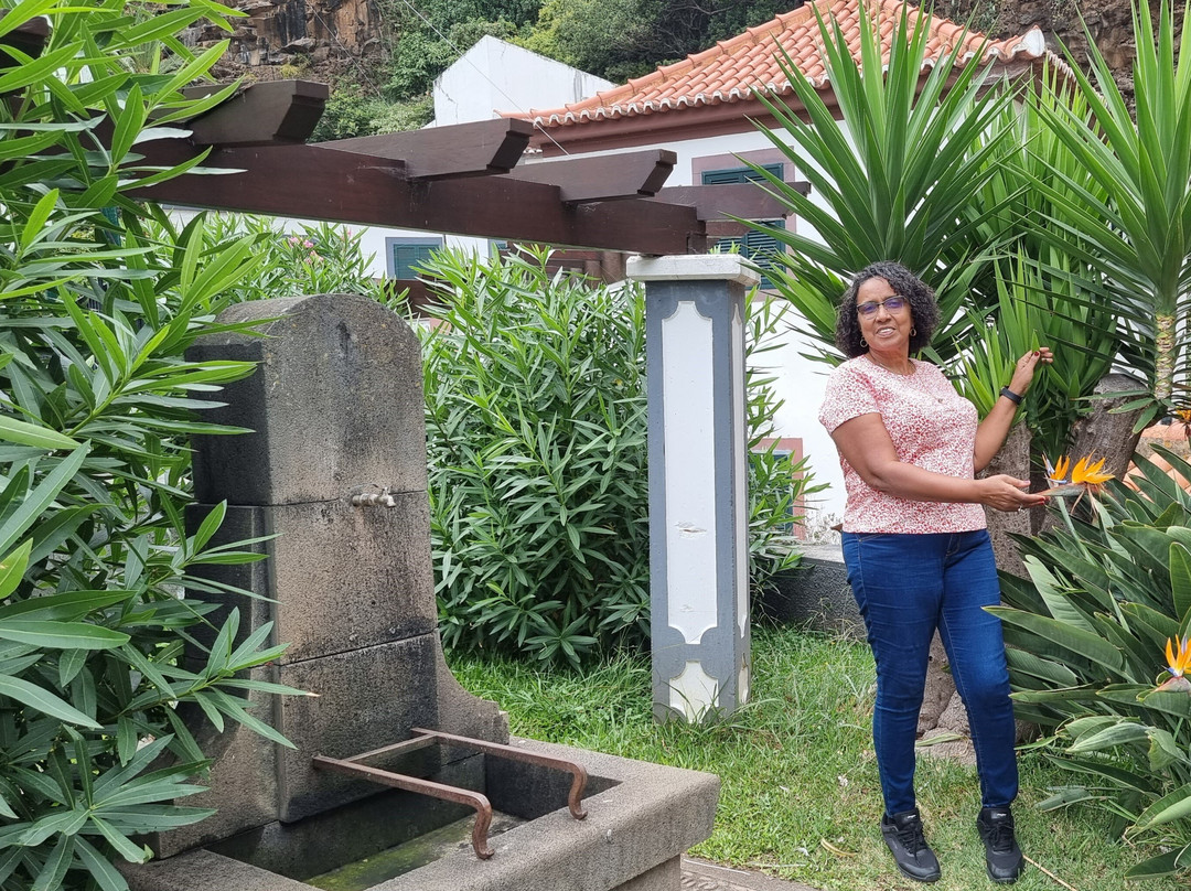 Jardim das Plantas Indígenas da Madeira-Sao Vicente必去景点
