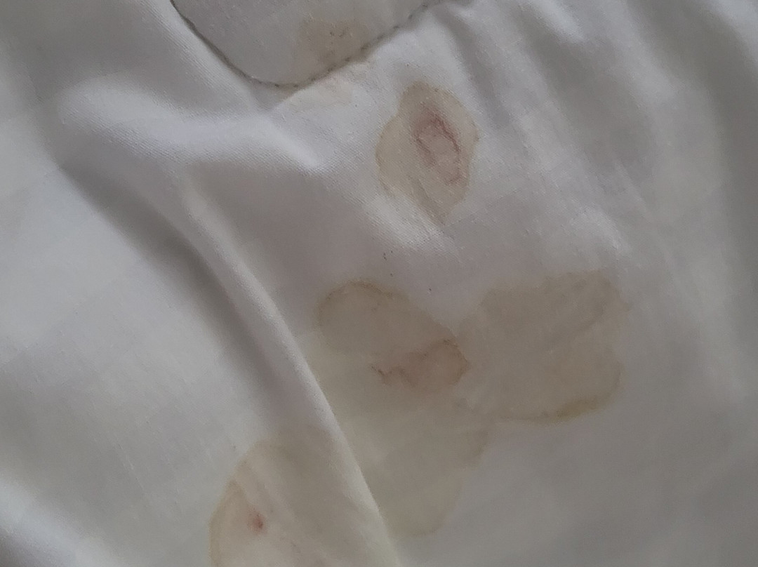 Courtyard by Marriott Owensboro主图