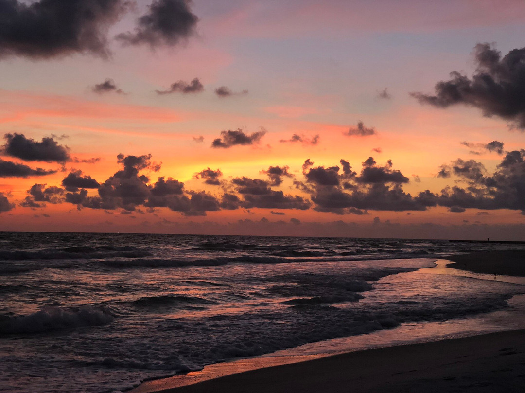 The Smith House主图