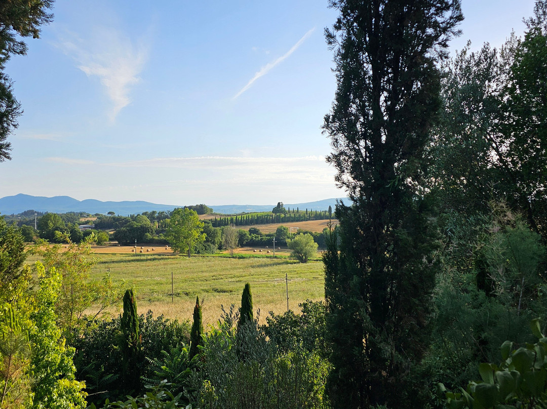 Al Giardino degli Etruschi主图