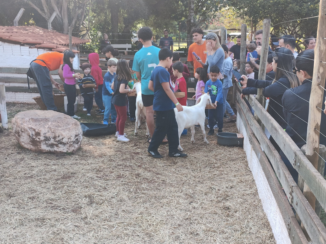 Hotel Fazenda Cliv Sol主图