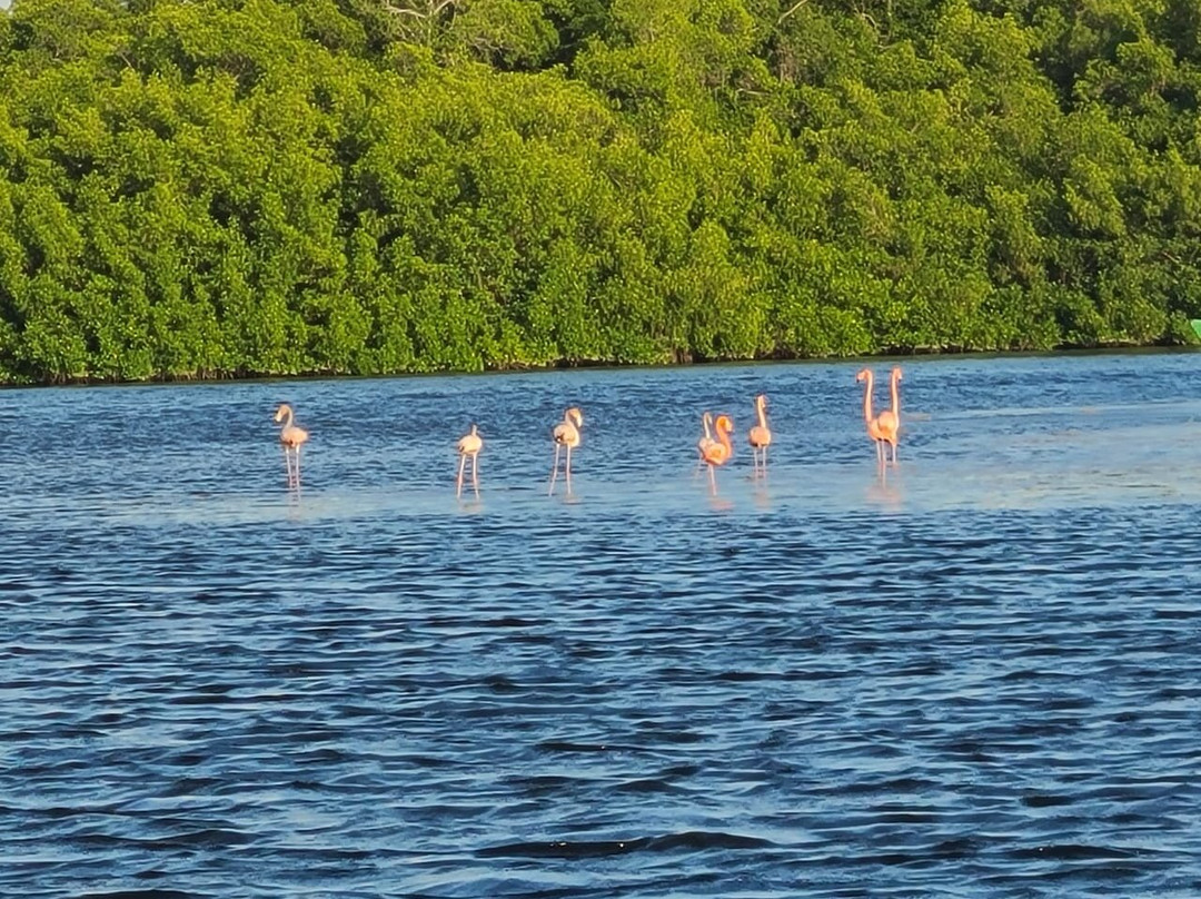 Jesse James 'Members Only' Maxi Taxi Service-特立尼达必去景点