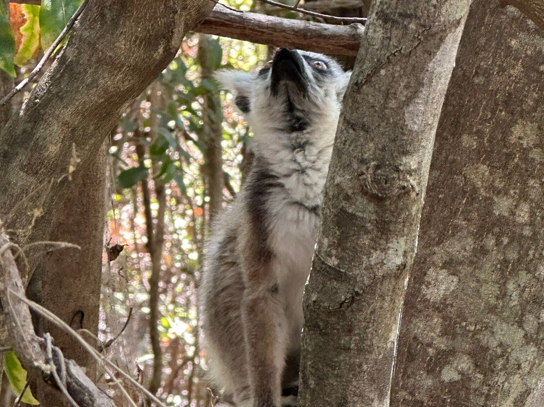 My Madagascar景点图片