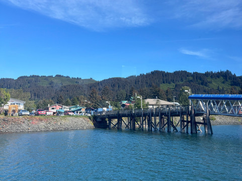 Alaska Coastal Marine Tours-荷马必去景点