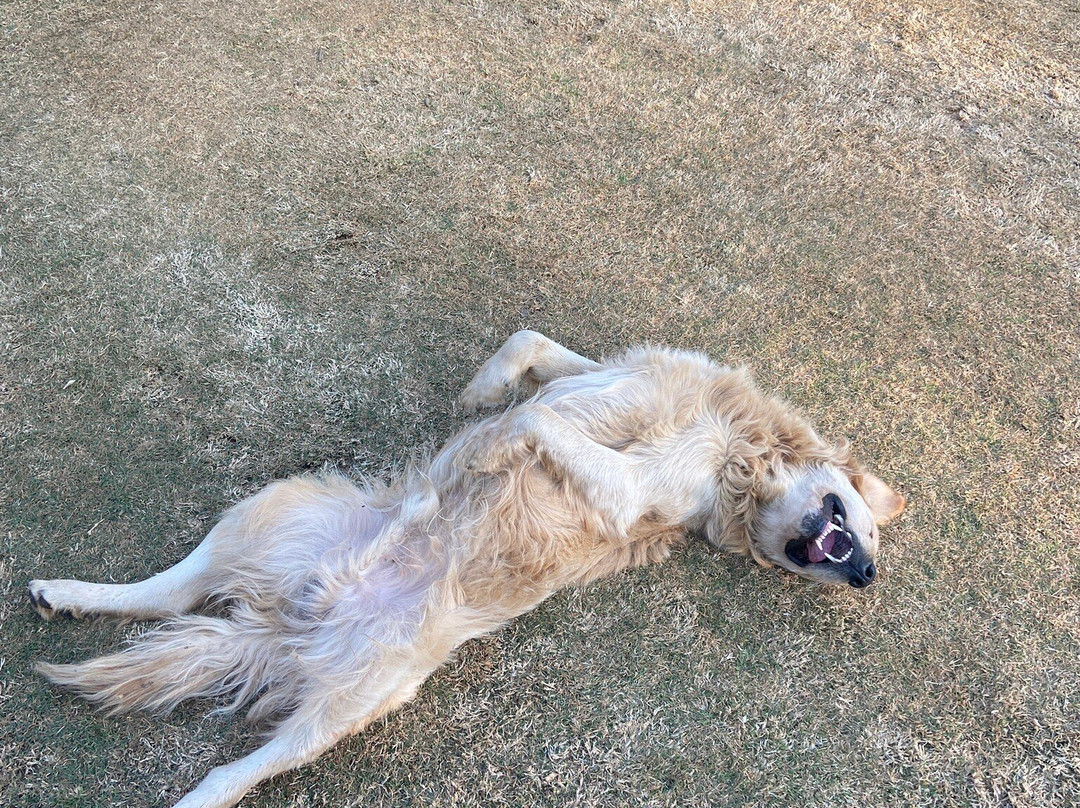 Deo Resta Guest Lodge主图