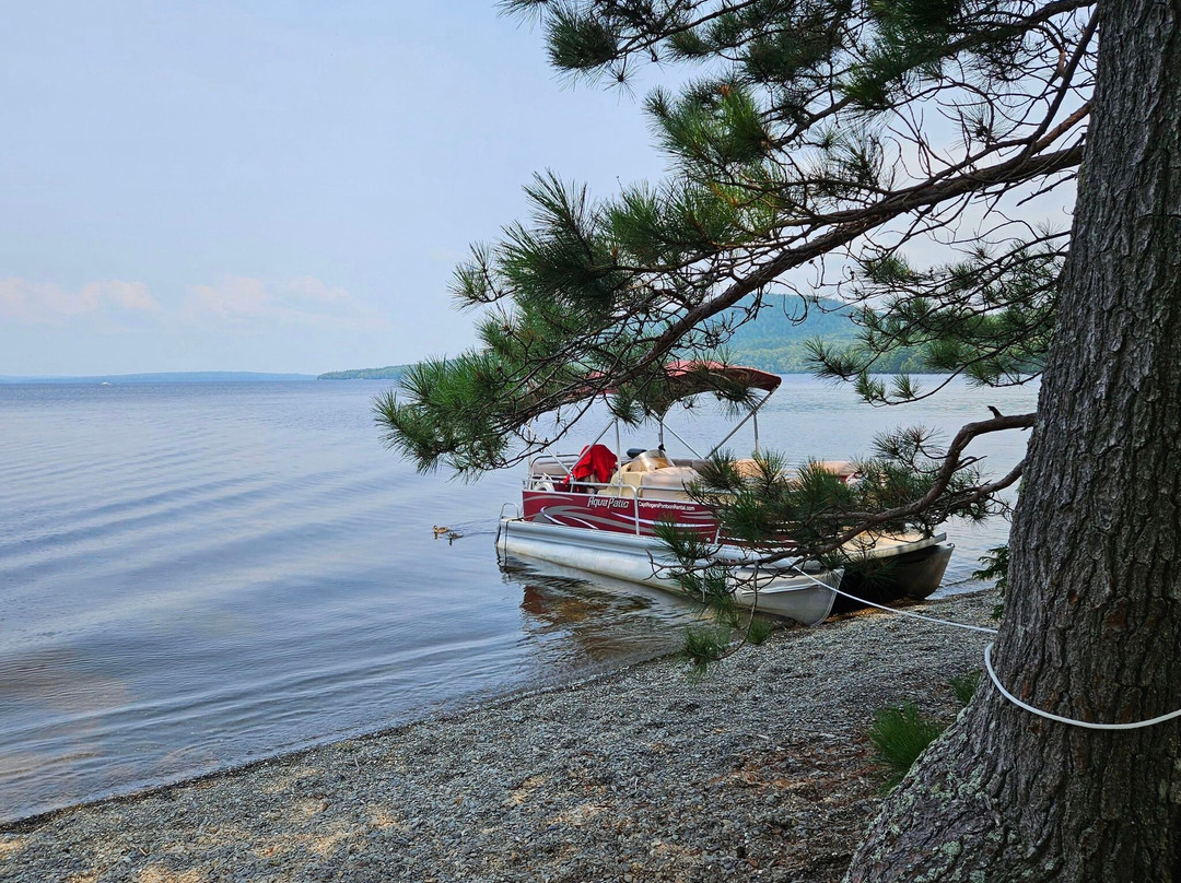 Capt Rogers Pontoon Boat Rental景点图片