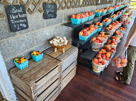 Shaw Orchards-White Hall必去景点